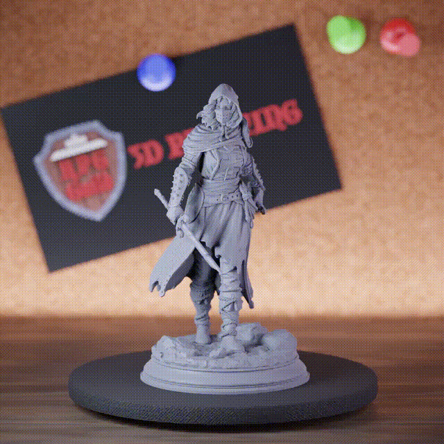 Human 5e | DnD Shadow Blade Maiden Delyna ro Unviel Miniature