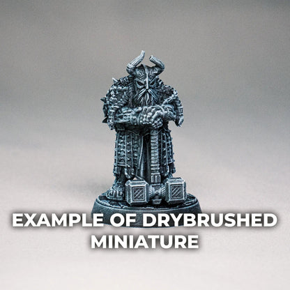 Example of a drybrushed DnD miniature 