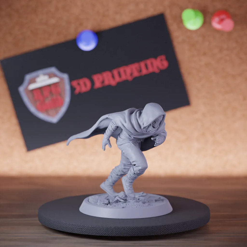 Rogue 5e | DnD Desert Assassin Fighter Miniature