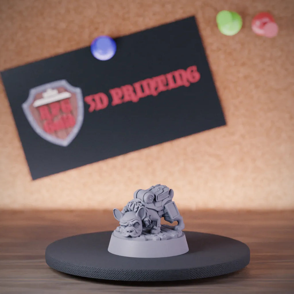 Companion 5e | DnD French Bulldog Adventurer Miniature