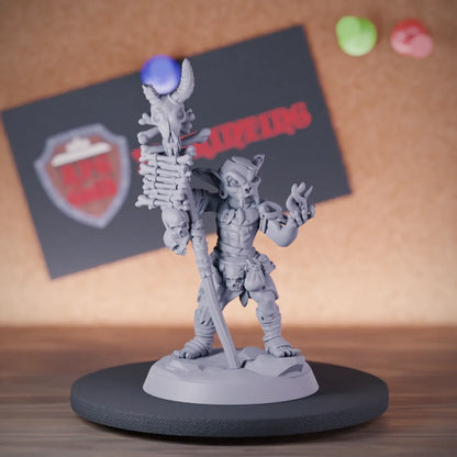 Goblin 5e | DnD Goblin Skull Shaman Miniature