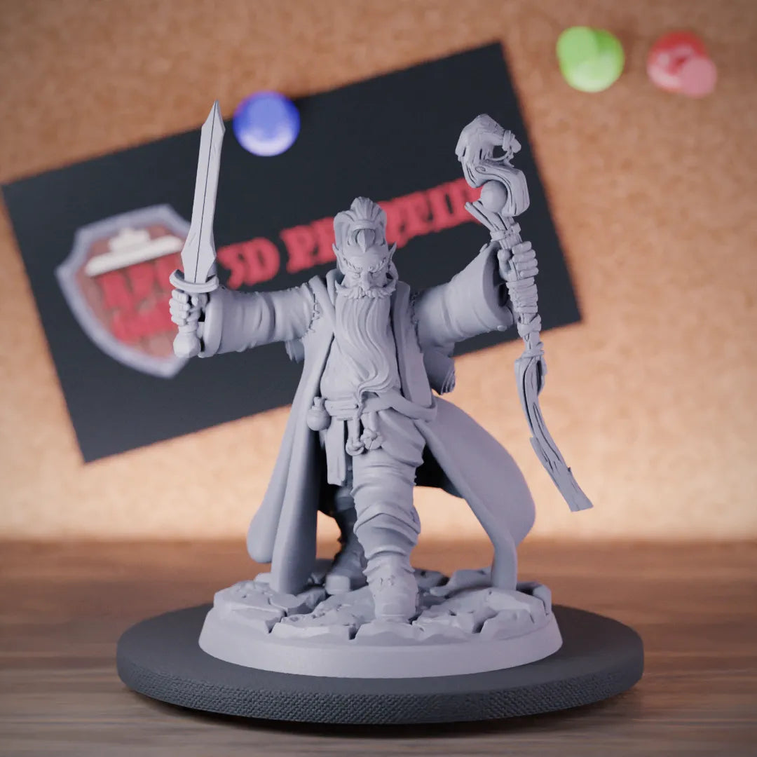 Wizard 5e | DnD Mage Hero Sage Miniature
