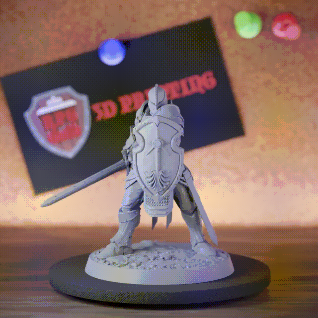 Knight 5e | DnD Valor Knight Shield Defender Miniature