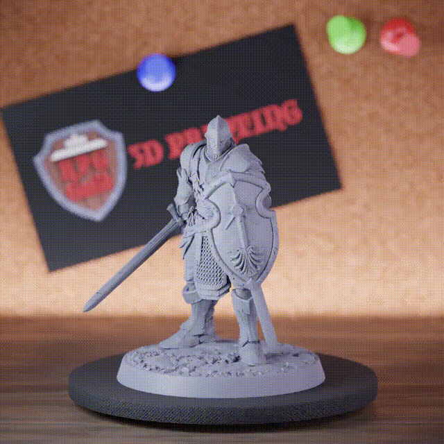 Knight 5e | DnD Valor Knight Sword & Shield Patrol Miniature