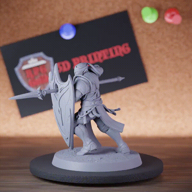 Elf 5e | DnD Mondelfenverteidiger Miniatur 