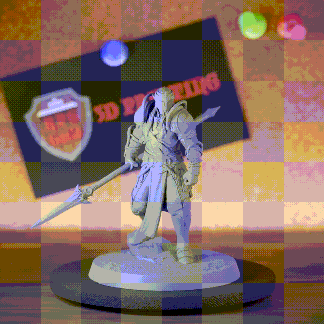 Elf 5e | DnD Maskierter Mondelfen-Speerwächter Miniatur 