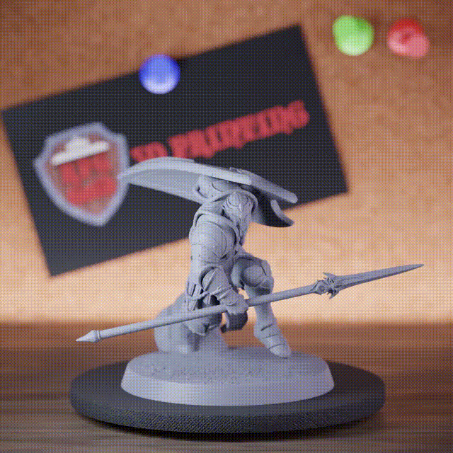 Elfe 5e | Miniature de défenseur elfe de la lune avec lance et bouclier DnD