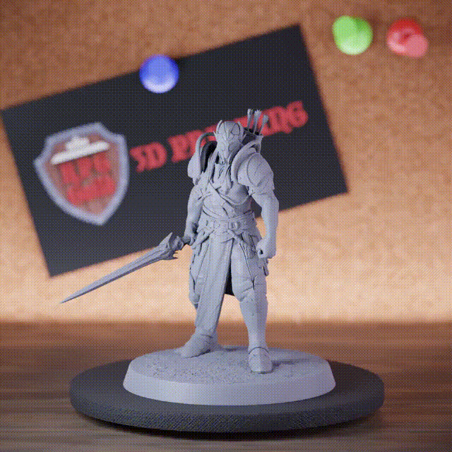 Elf 5e | DnD Maskierter Mondelfen-Wächter (Miniatur) 