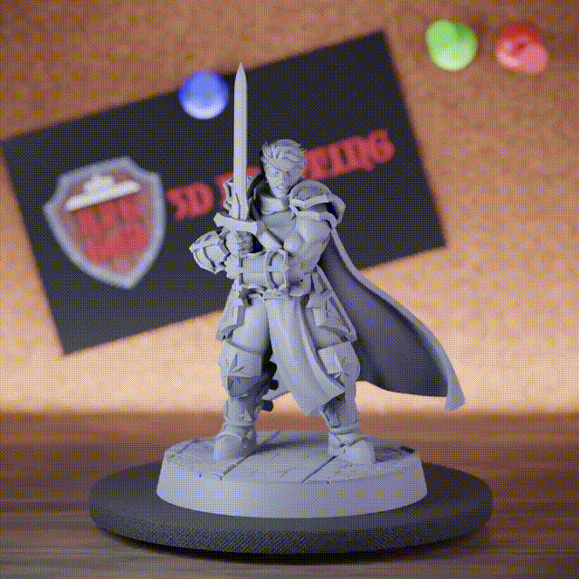 Paladin 5e | DnD Menschlicher Eid der Hingabe Paladin Miniatur 