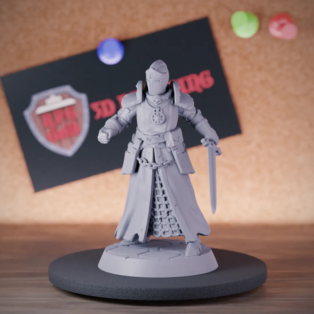 5e Paladin | DnD Paladin Human Crusader Miniature