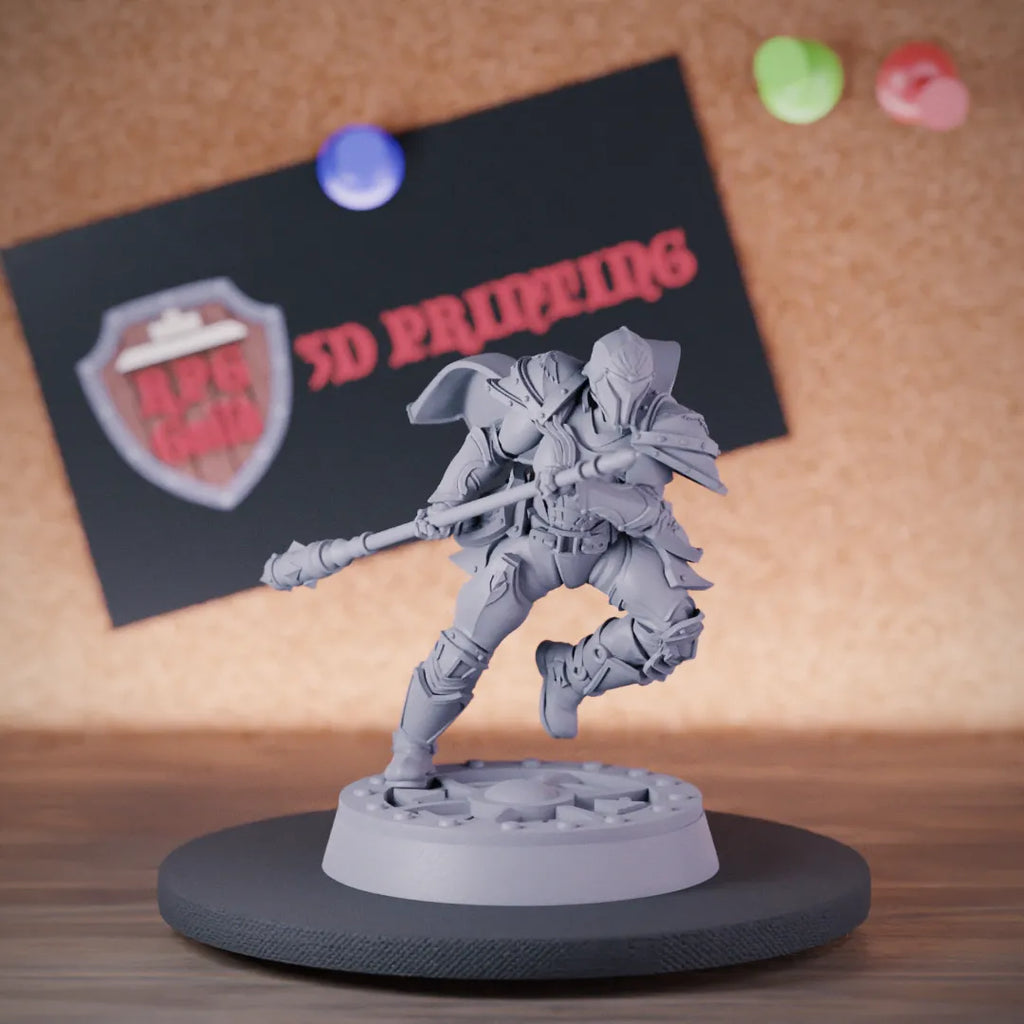Paladin 5e | DnD Female Paladin Defender Spear Miniature