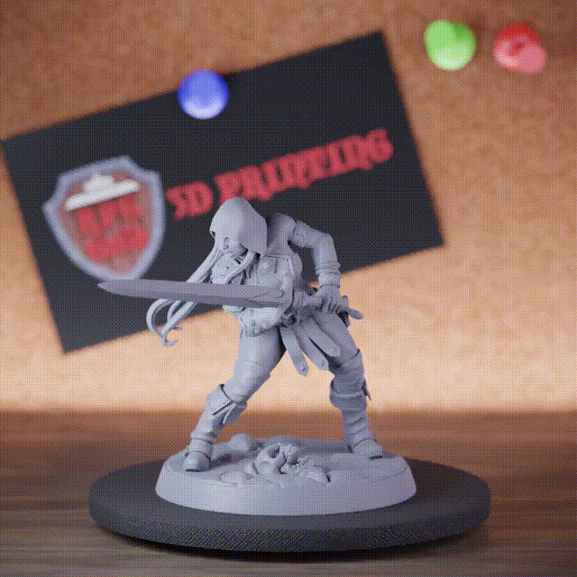 Rogue 5e | DnD Female Sword Warrior Miniature