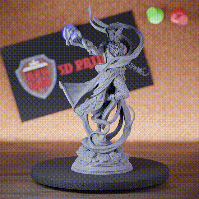 Elf 5e | DnD Sorcerer Claw Mystic Miniature