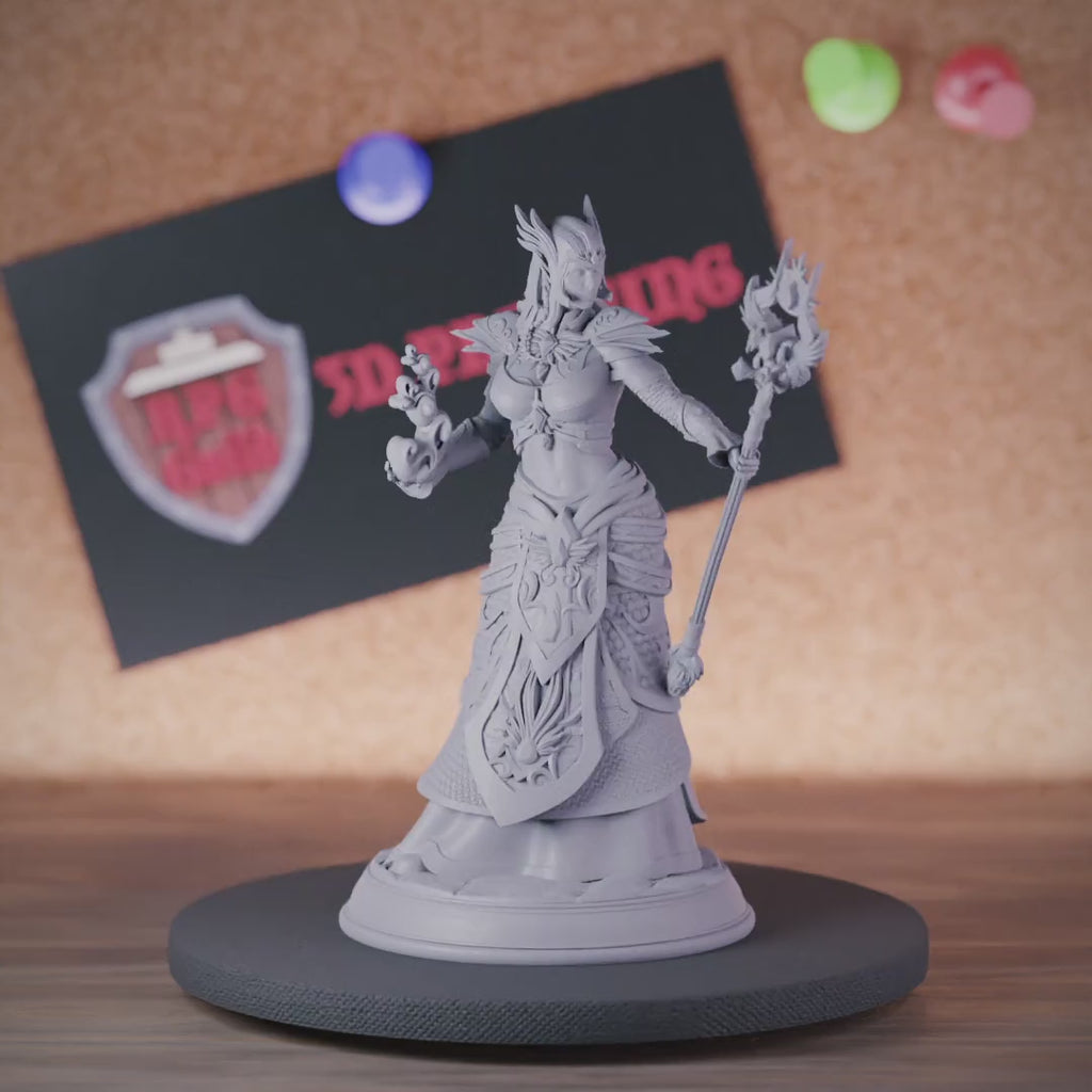 Elf 5e | DnD Female Wizard Ferendir Miniature