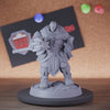 Paladin 5e | DnD Armored Paladin Warchief Miniature