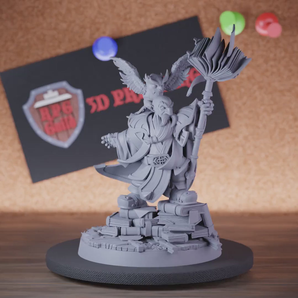 Dwarf 5e | DnD Wizard Scholar Dwarf Miniature