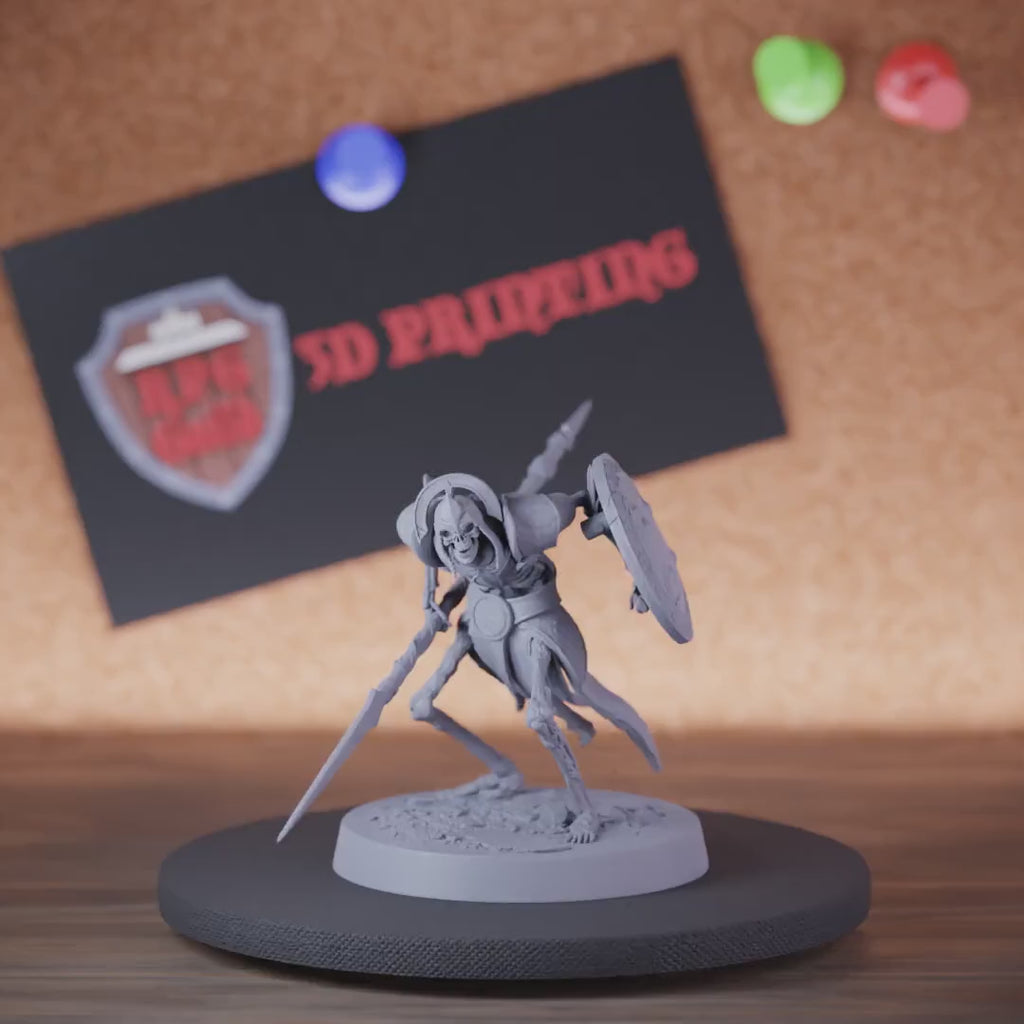 Skeleton 5e | DnD Persian Spear Shield Armour Miniature