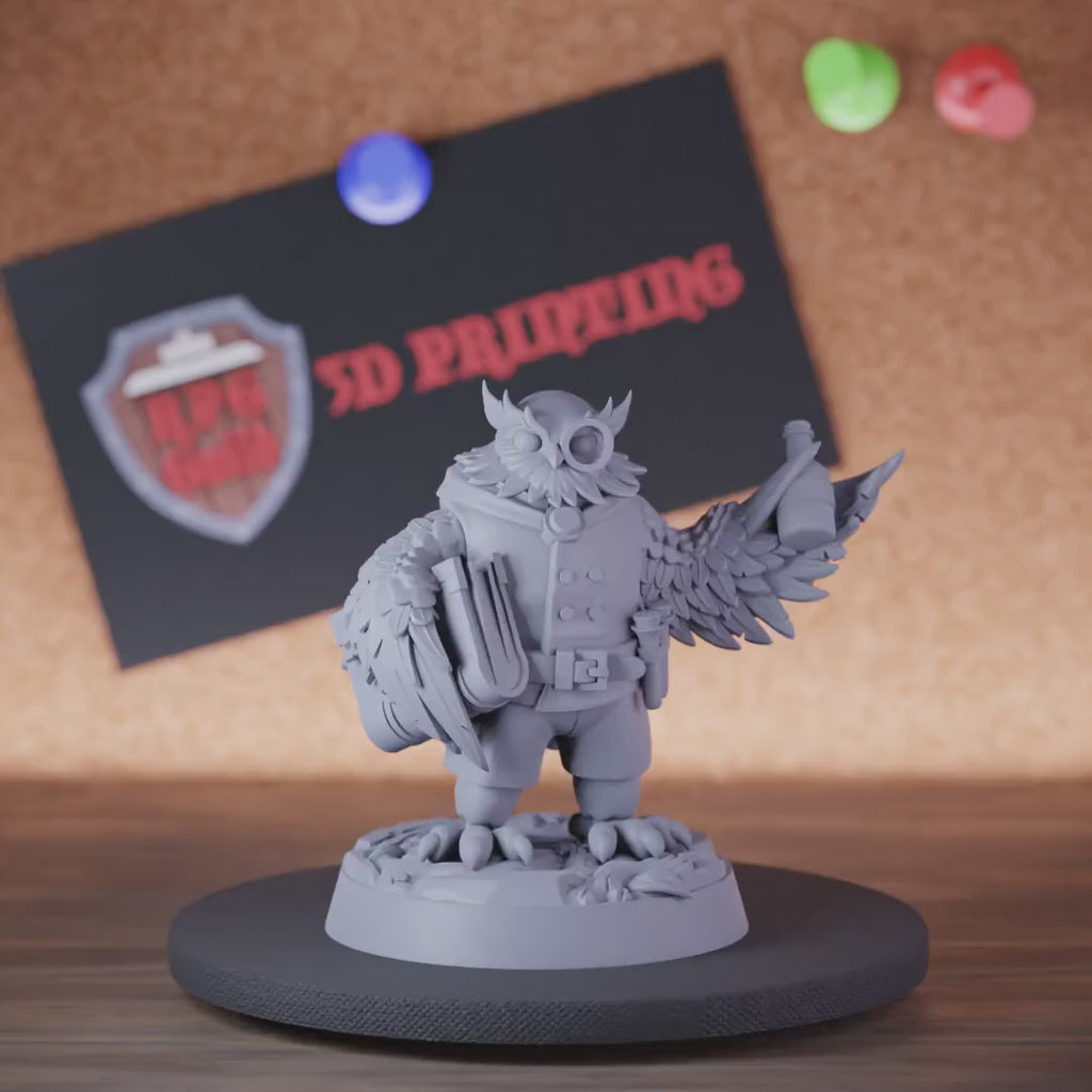 Owlin 5e | DnD Nobel Merchant Owlin  Miniature