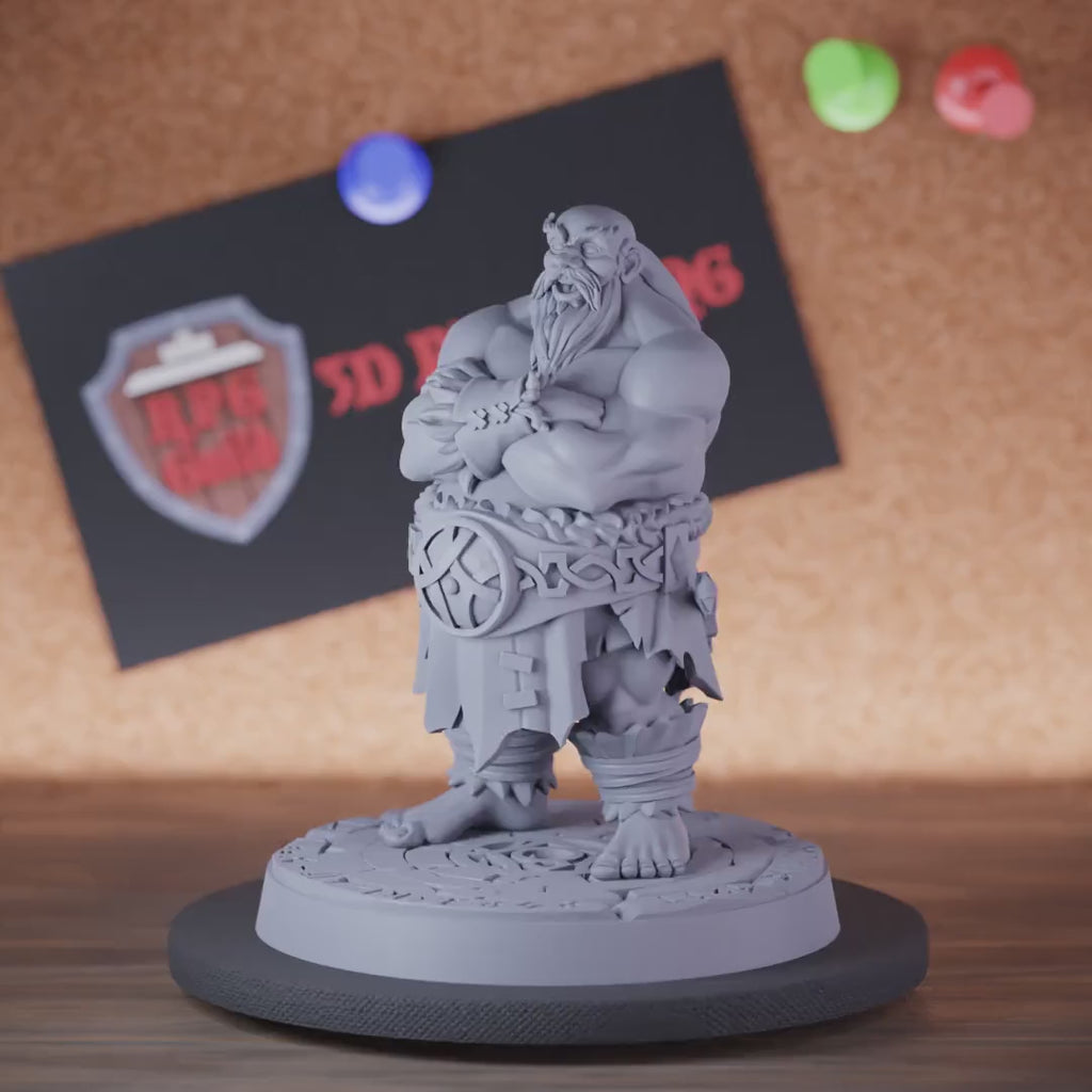 Viking 5e | DnD Big Northman Miniature