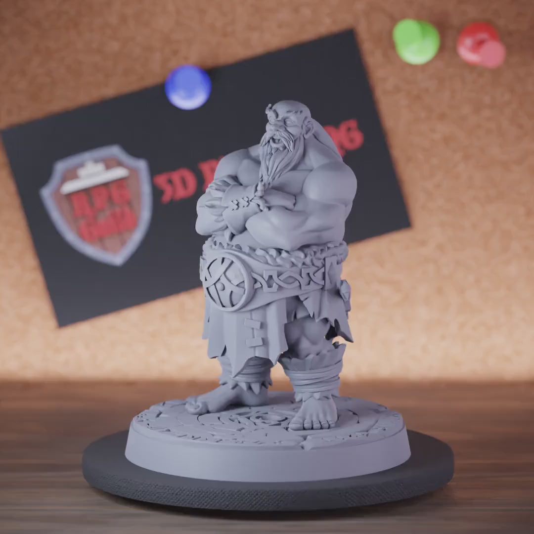 Viking 5e | DnD Big Northman Miniature