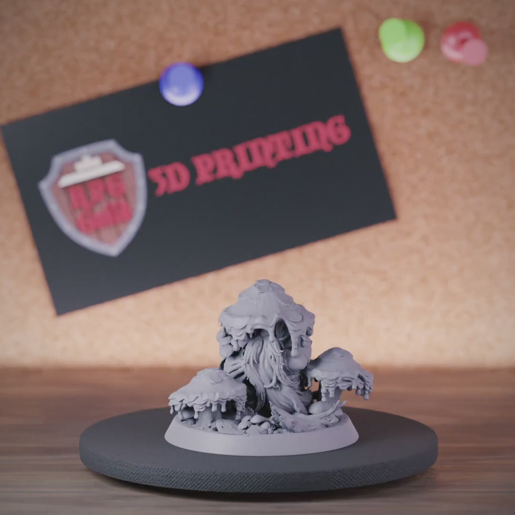 Gnome 5e | DnD Swamp Spirit Seer Miniature