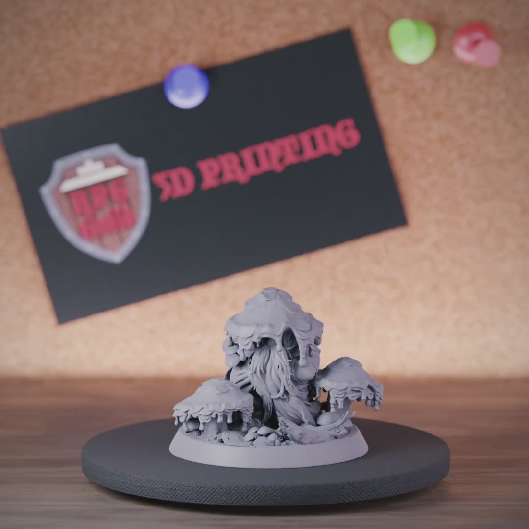 Gnome 5e | DnD Swamp Spirit Seer Miniature