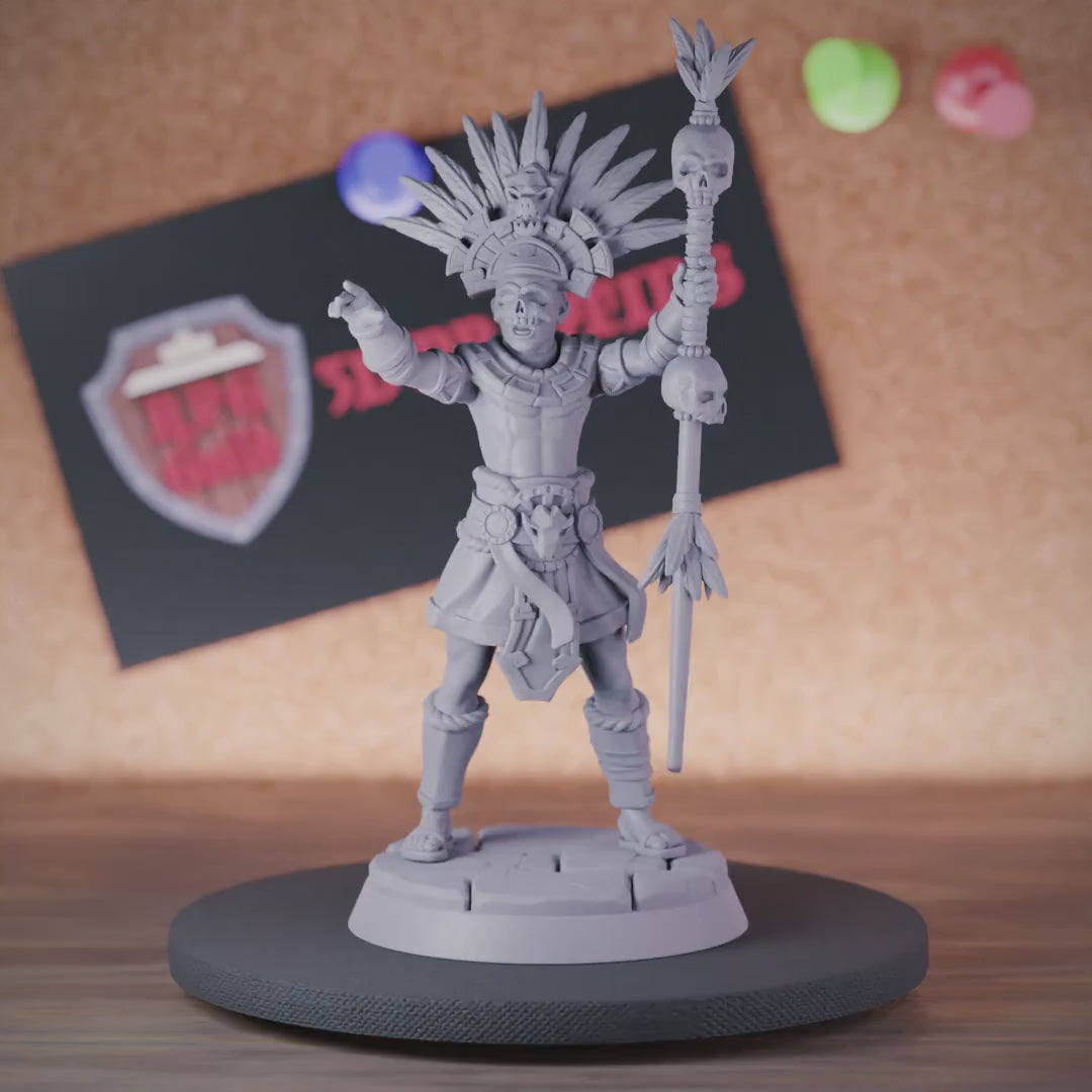 Warlock 5e | DnD Warlock Temple Shaman Miniature