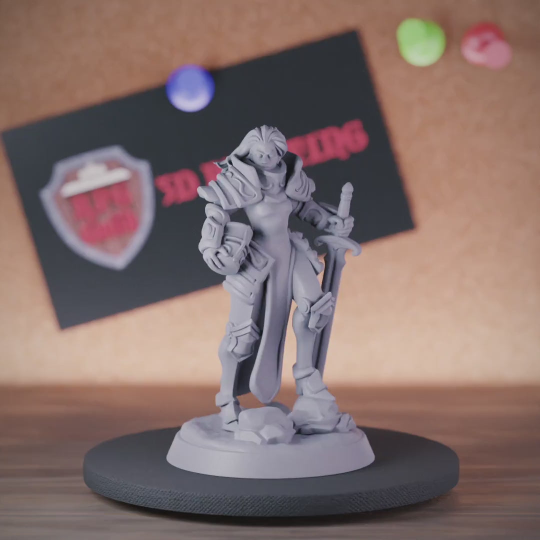 Knight 5e | DnD Knight Captain Champion Miniature