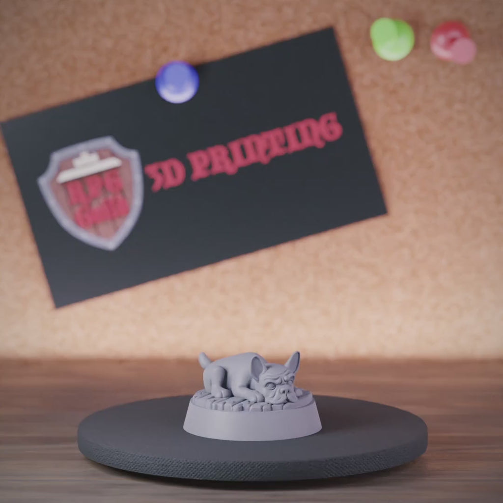 Companion 5e | DnD Sleepy French Bulldog Miniature