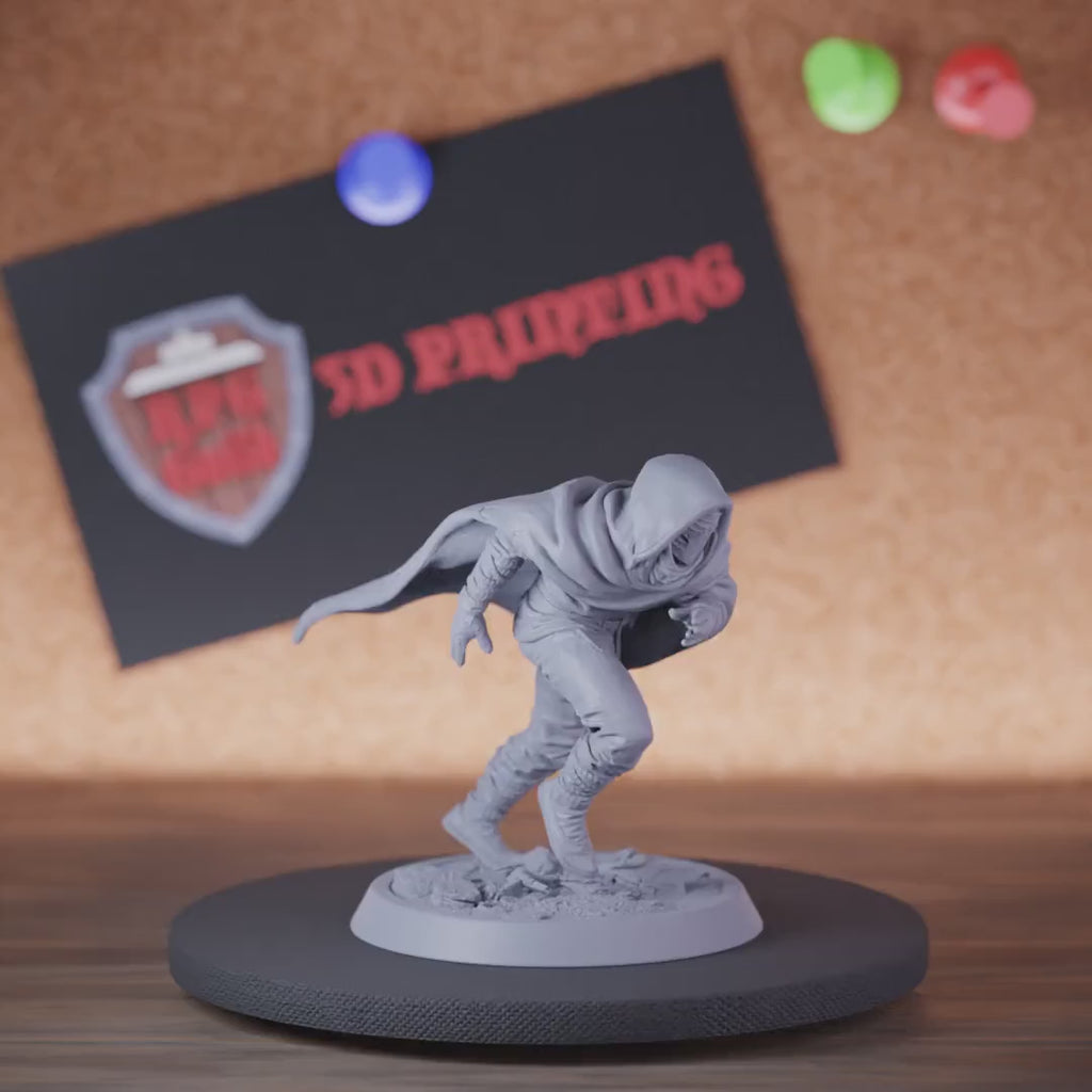Rogue 5e | DnD Desert Assassin Fighter Miniature