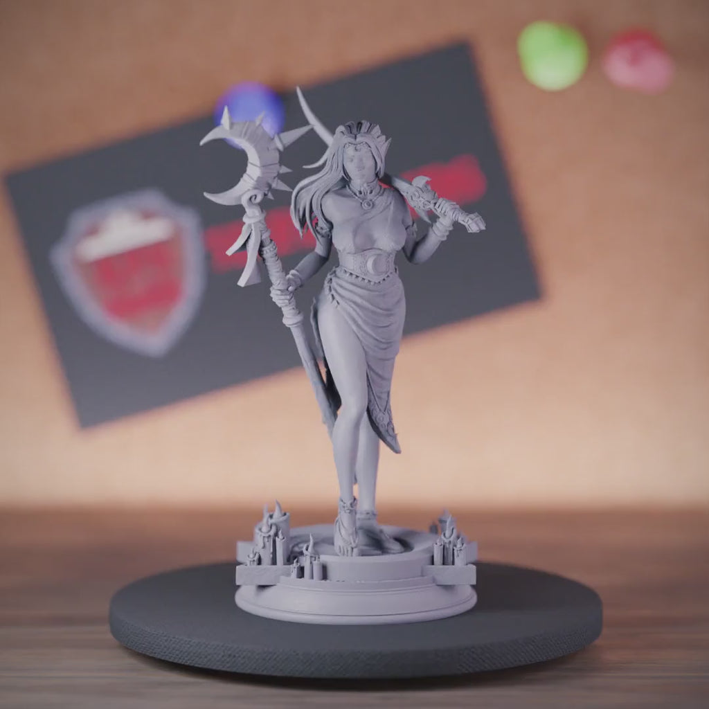Elf 5e | DnD Drow Priestess Miniature