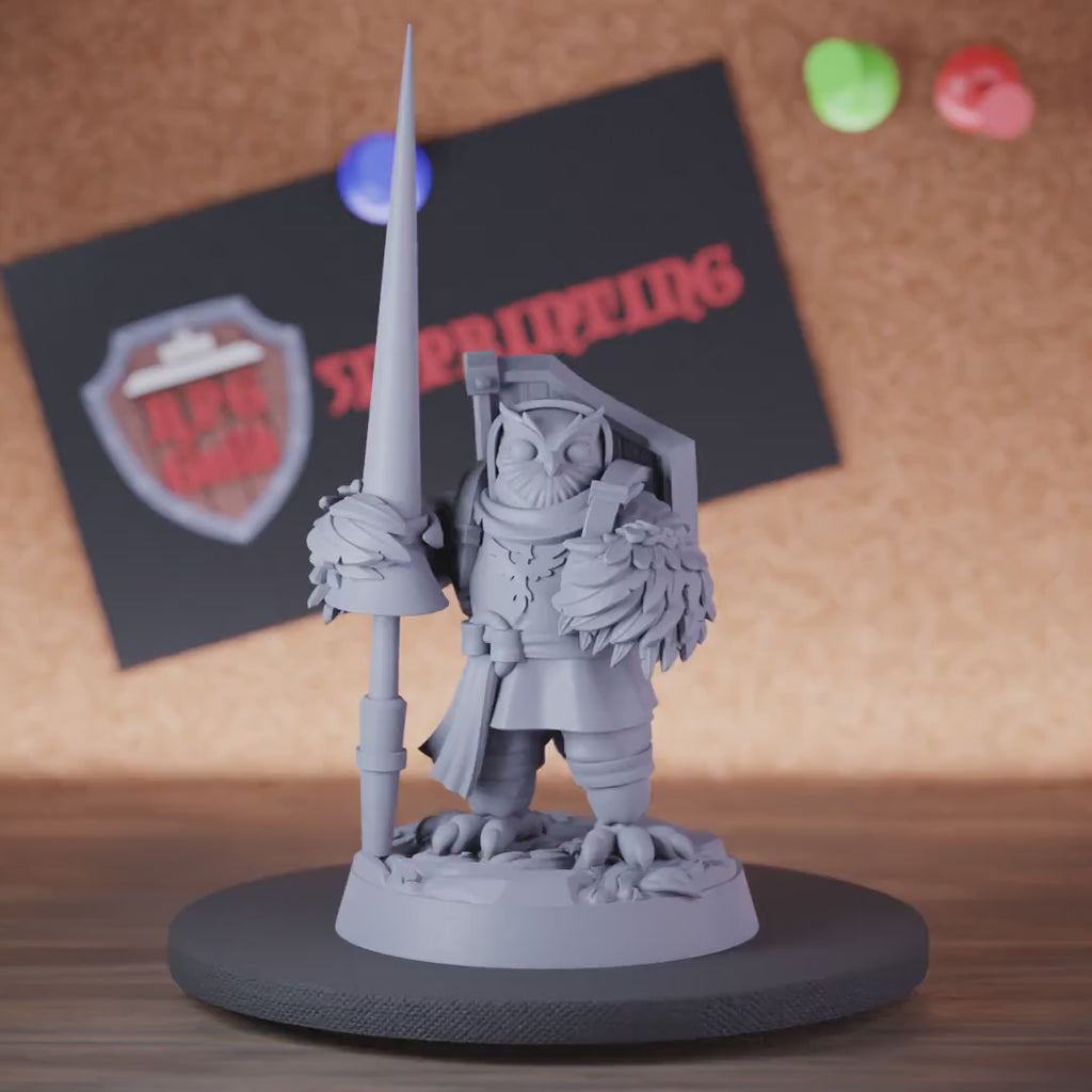 Owlin 5e | DnD Owlin Oath Devotion Paladin Miniature