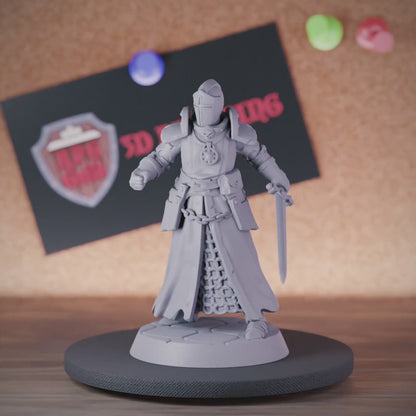 5e Paladin | DnD Paladin Human Crusader Miniature