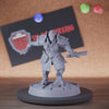 Paladin 5e | DnD Female Paladin Captain Miniature
