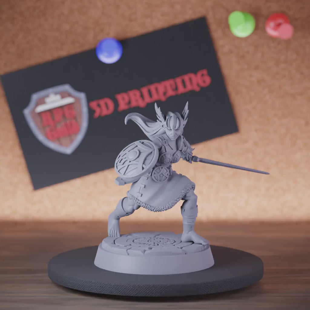 Valkyrie 5e | DnD Valkyrie the Sword Master Miniature