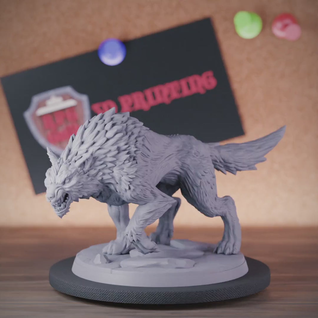 Beast 5e | DnD Wolf Animal Miniature