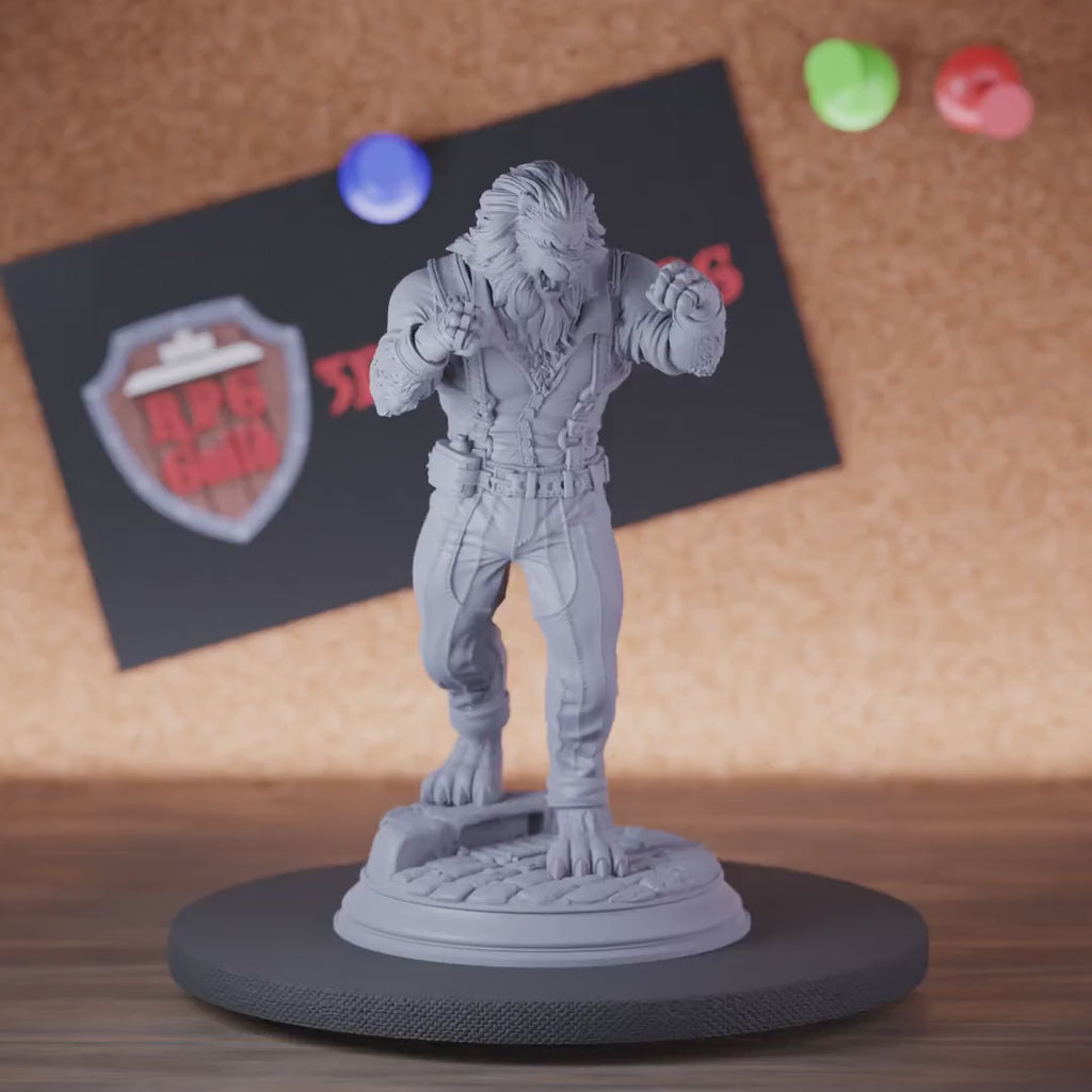 Leonin 5e | DnD Leonin Brawler Mönch Miniatur 