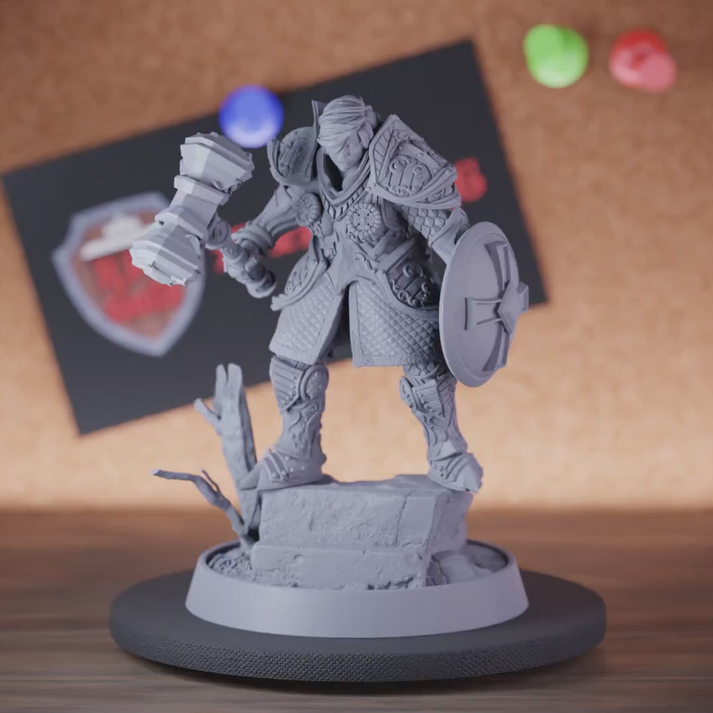 Paladin 5e | DnD Female Paladin Warrior Miniature