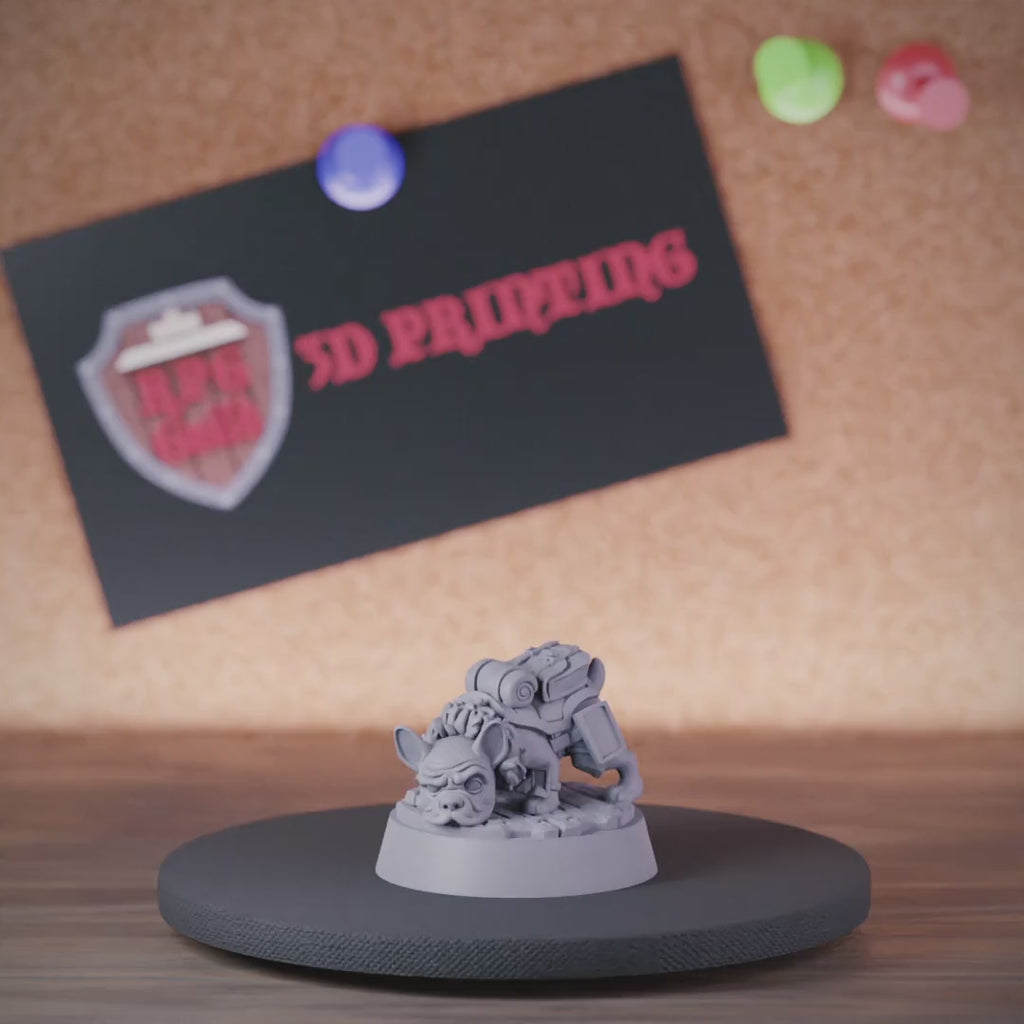 Companion 5e | DnD French Bulldog Adventurer Miniature