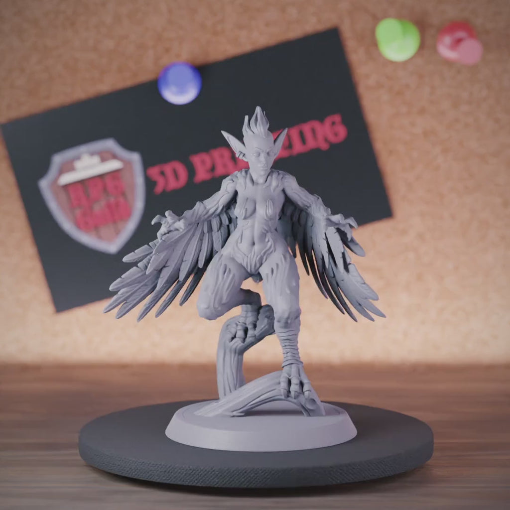 Harpy 5e | DnD Harpy Bird Humanoid Monster Miniature