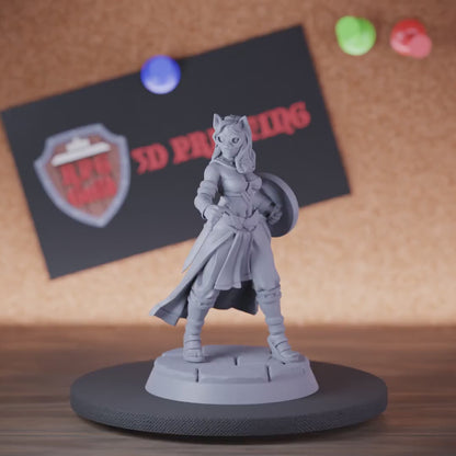 Fighter 5e | DnD Female Fighter Masked Miniature