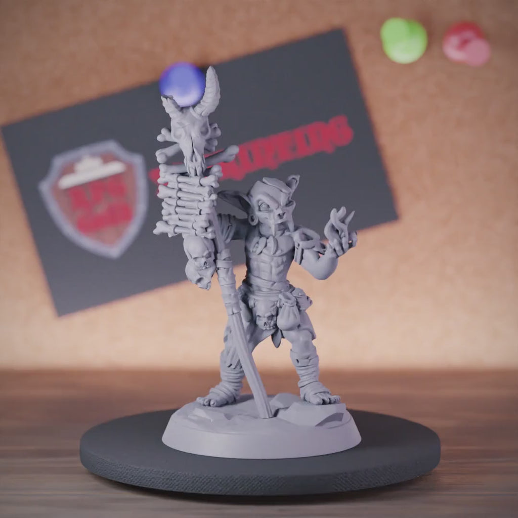 Goblin 5e | DnD Goblin Skull Shaman Miniature