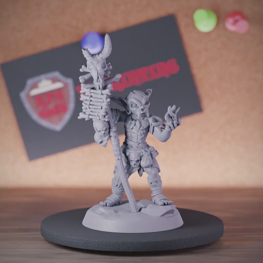 Goblin 5e | DnD Goblin Skull Shaman Miniature