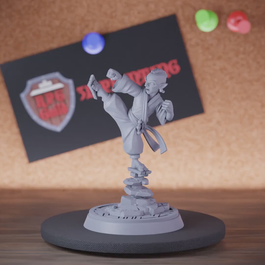 Monk 5e | DnD Gnome Open Hand Master Miniature