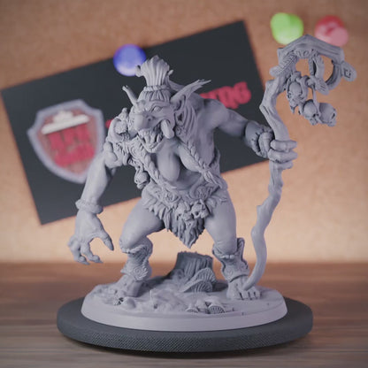 Troll 5e | DnD Troll Hag Shaman Witch Miniature