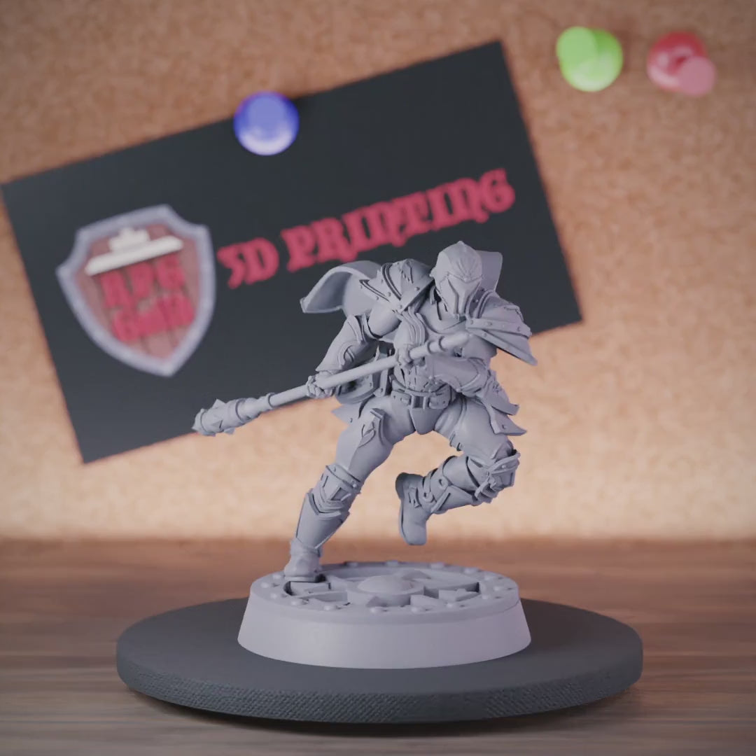 Paladin 5e | DnD Female Paladin Defender Spear Miniature