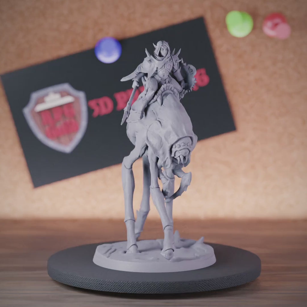 Elf 5e | DnD Female Dark Elf Fighter Rider Miniature