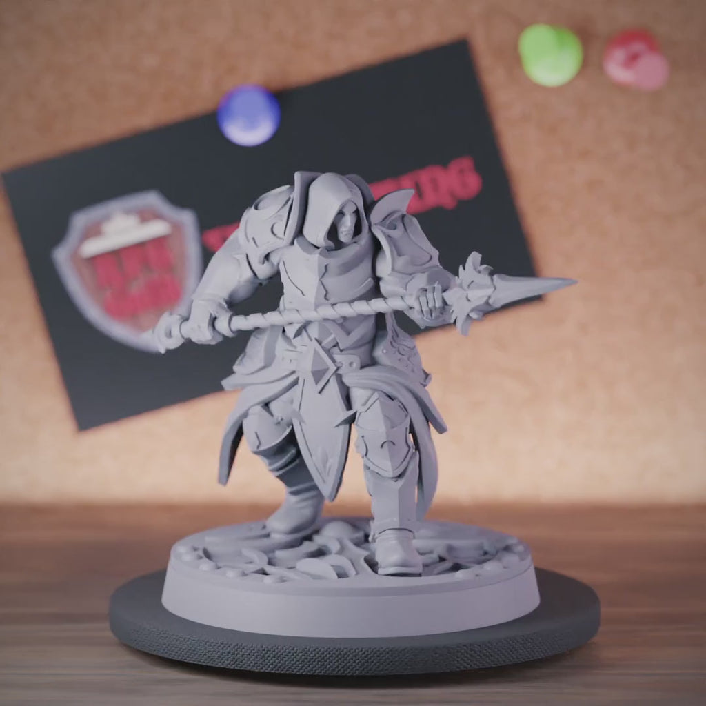 Paladin 5e | DnD Human Guardian Miniature