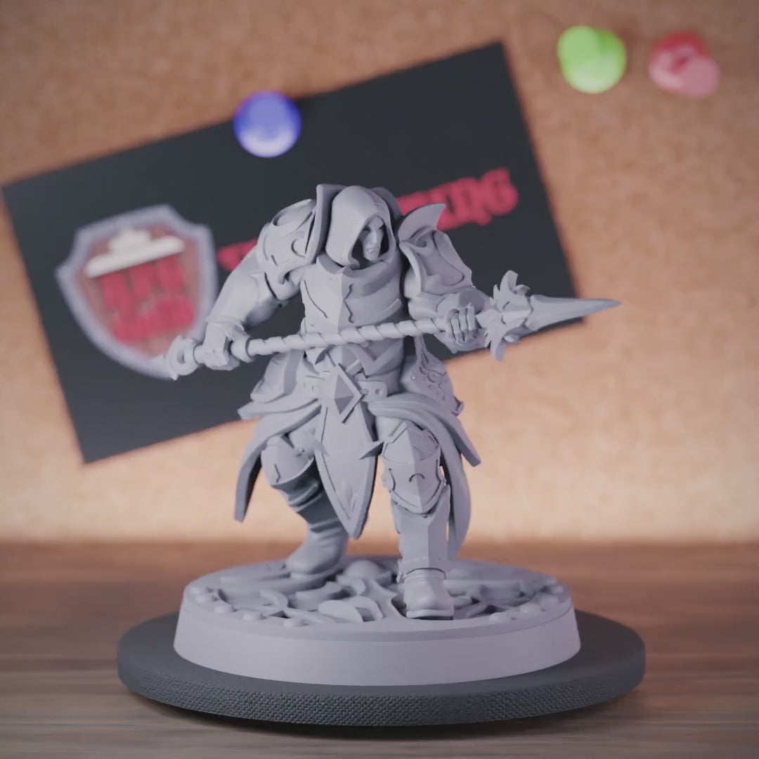 Paladin 5e | DnD Human Guardian Miniature